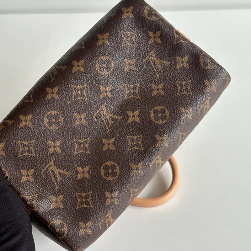 99新🆕 Louis Vuitton LV 路易威登 Speedy 25-13