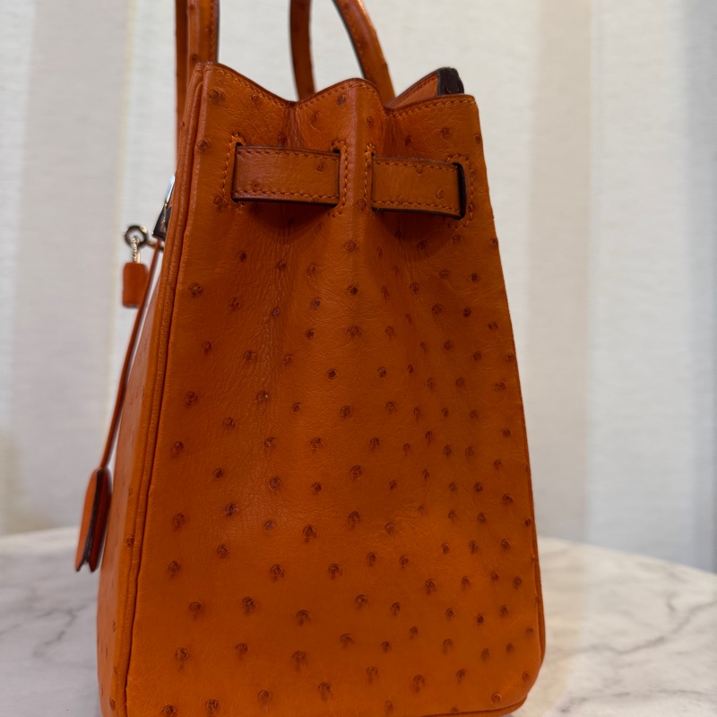 Hermes 經典橘鴕鳥皮銀釦Birkin 30-4