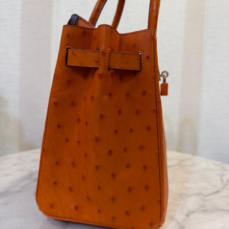 Hermes 經典橘鴕鳥皮銀釦Birkin 30-5