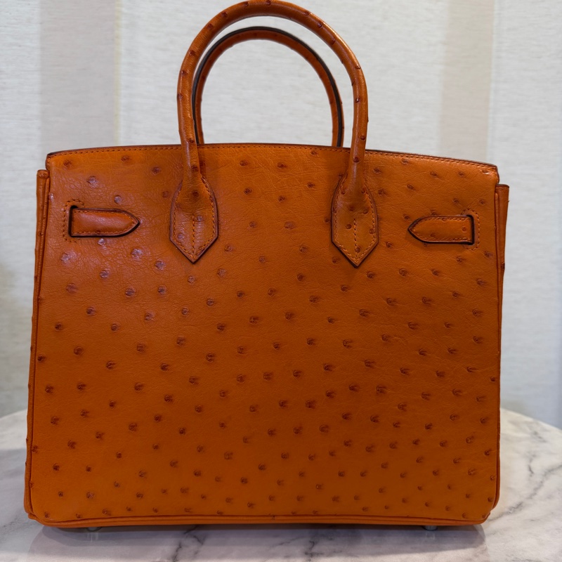 Hermes 經典橘鴕鳥皮銀釦Birkin 30-6
