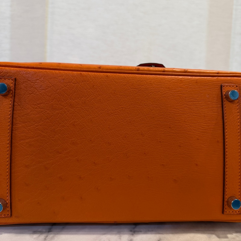 Hermes 經典橘鴕鳥皮銀釦Birkin 30-7