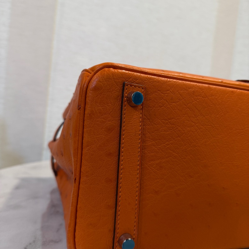 Hermes 經典橘鴕鳥皮銀釦Birkin 30-8