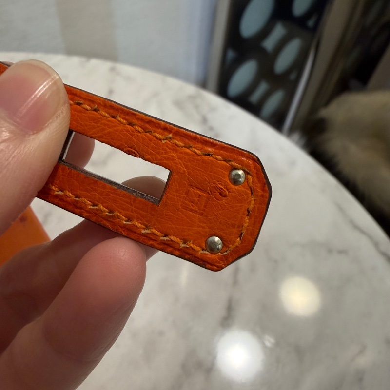 Hermes 經典橘鴕鳥皮銀釦Birkin 30-14