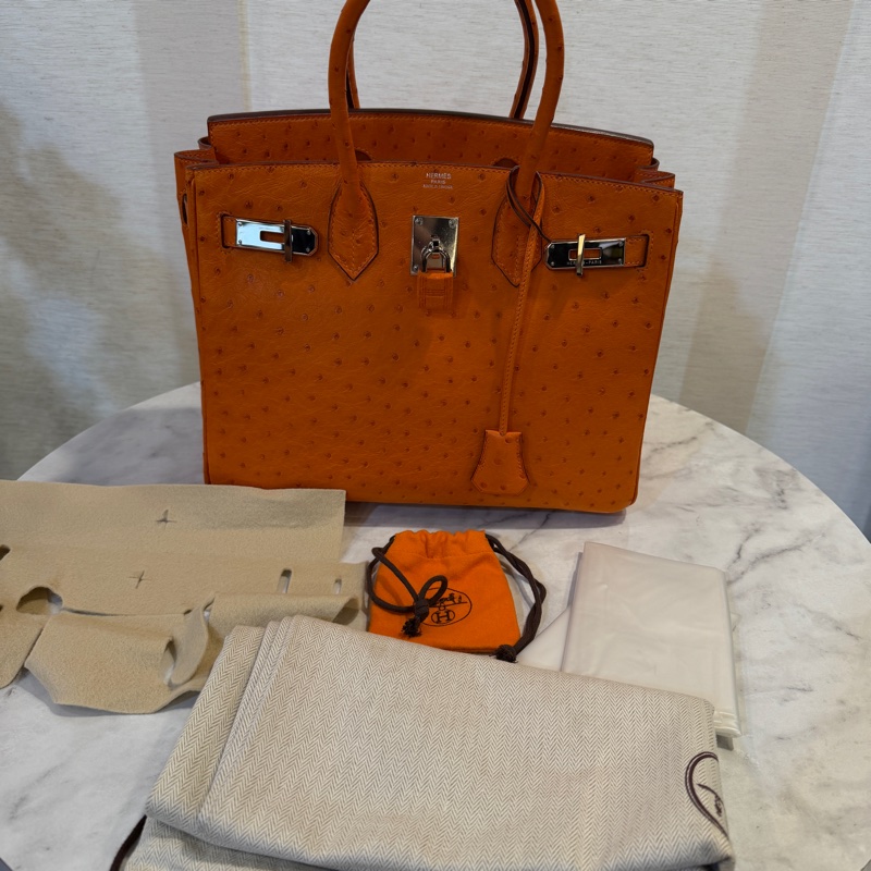Hermes 經典橘鴕鳥皮銀釦Birkin 30-15