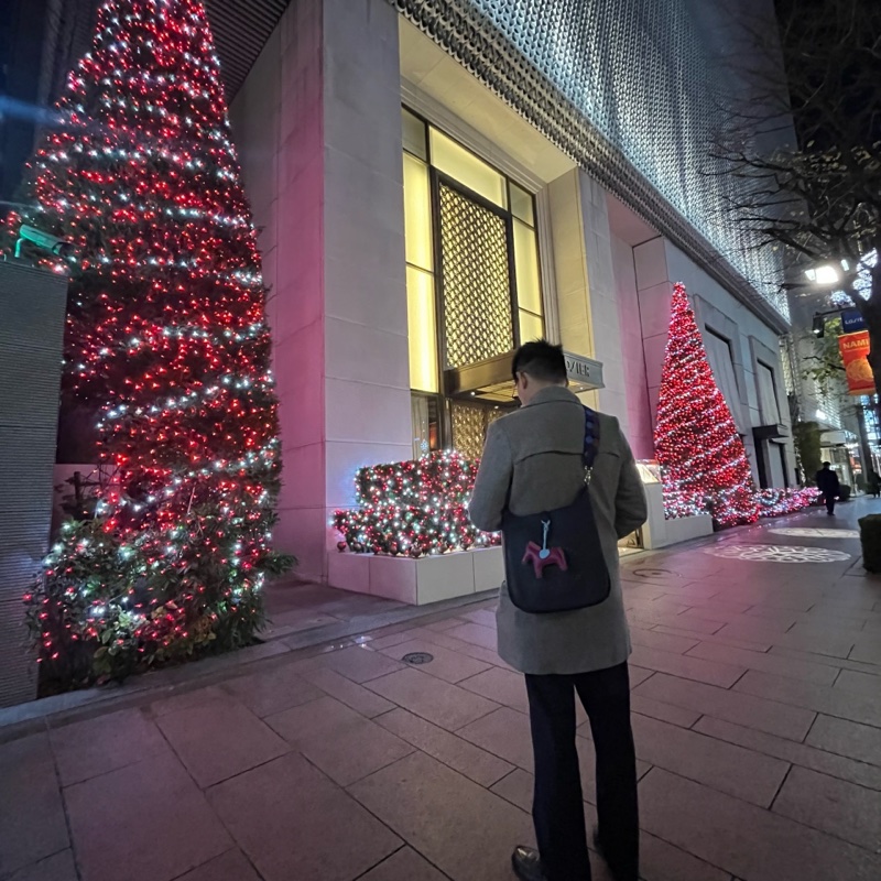 愛馬仕Evelyne 29/黑金-4