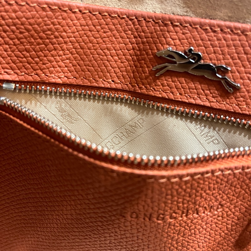 Longchamp Roseau竹節手提/斜背包(橘銀扣)-13