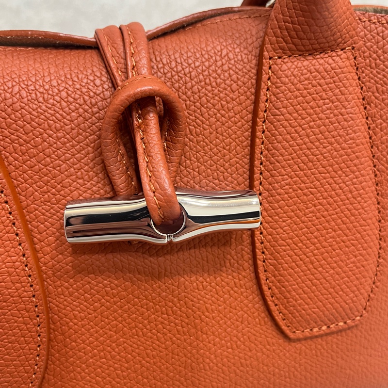 Longchamp Roseau竹節手提/斜背包(橘銀扣)-16