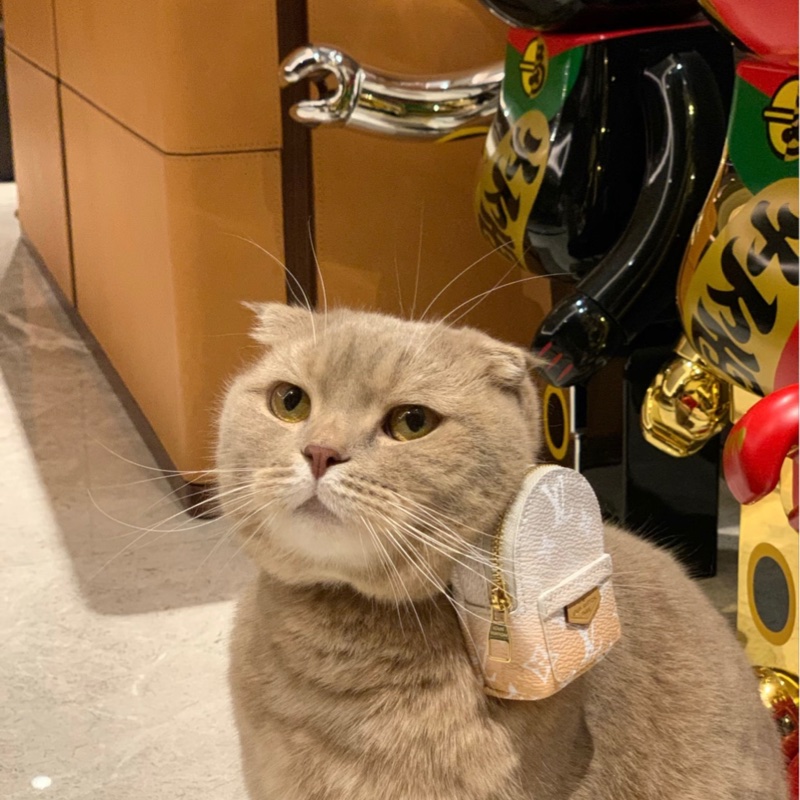 Louis Vuitton 99新 只裝得下可愛手腕包/吊飾-1