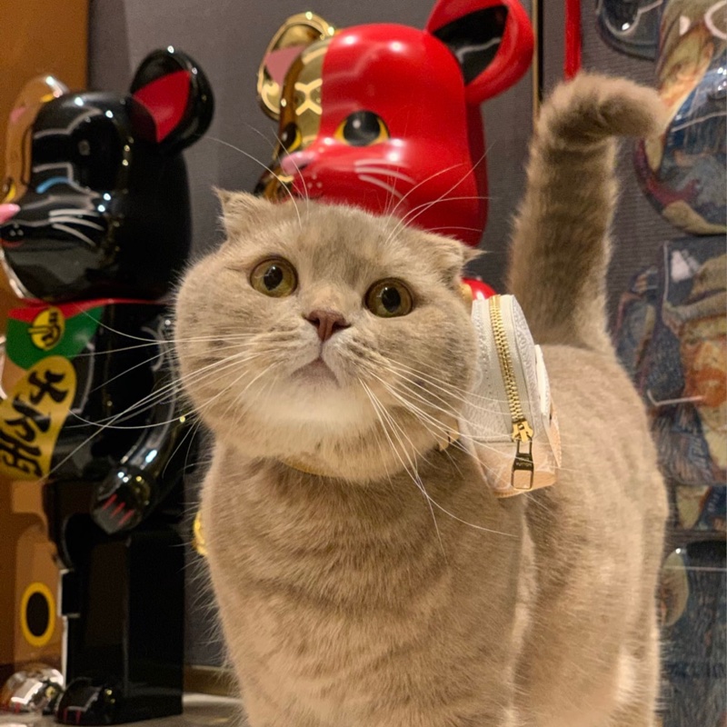 Louis Vuitton 99新 只裝得下可愛手腕包/吊飾-2