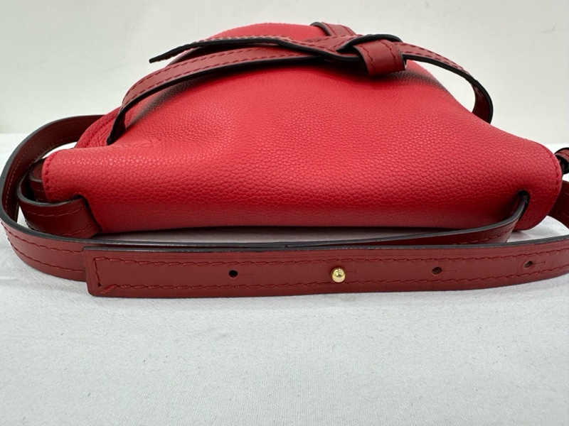 LOEWE/羅意威gate中型紅色馬鞍肩斜背包-5