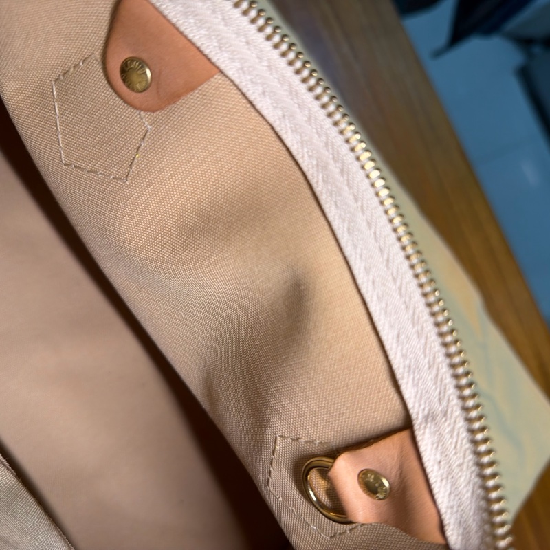 LV speedy 白棋盤格手提包-10