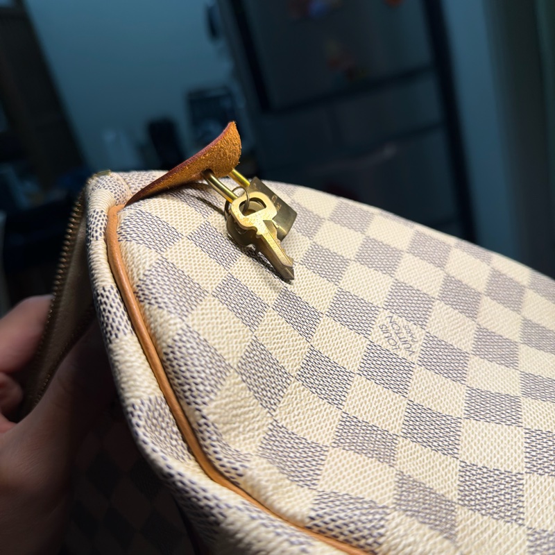 LV speedy 白棋盤格手提包-19