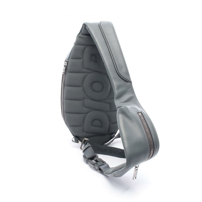 Christian Dior Scarab 腰包/斜背包/臀包/皮革/尼龍/灰 二手 男士-1