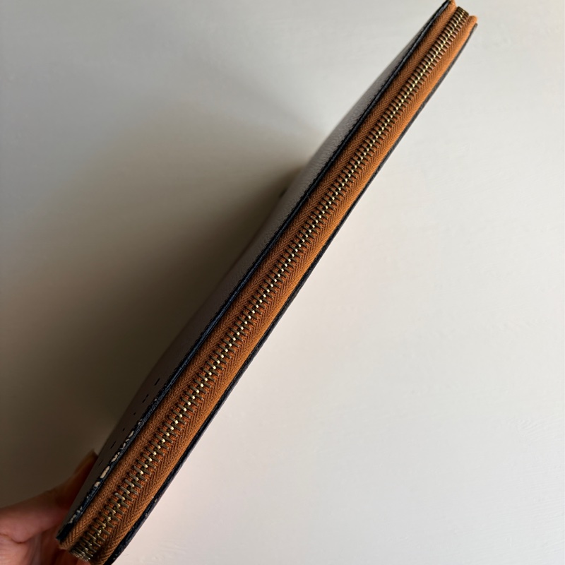 Celine 多用途真皮長夾 皮革收納包 手拿包 wallet on chain-10