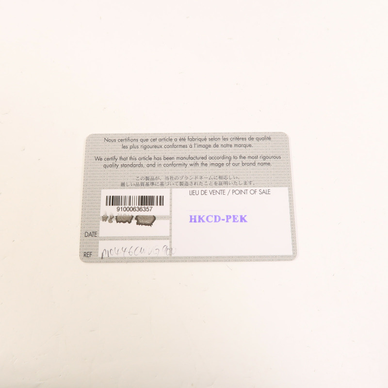 Dior 牛皮皮革Saddle Medium金扣肩背袋-7