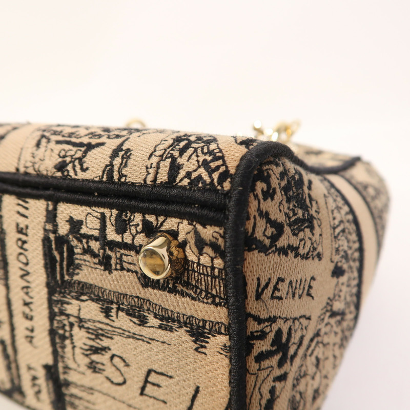 Dior 帆布Lady Dior D Lite Medium金扣手挽肩背兩用袋-9