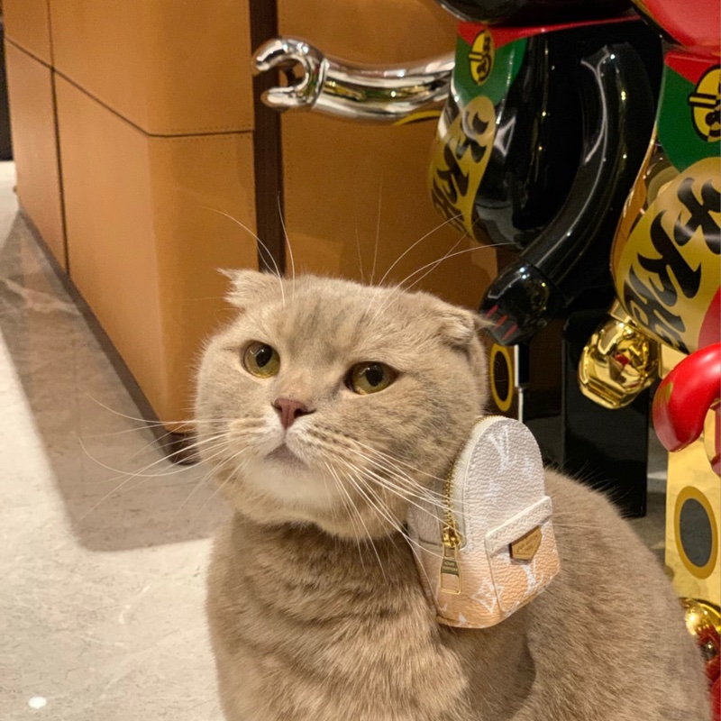 Louis Vuitton 99新 只裝得下可愛 手腕包/吊飾-3