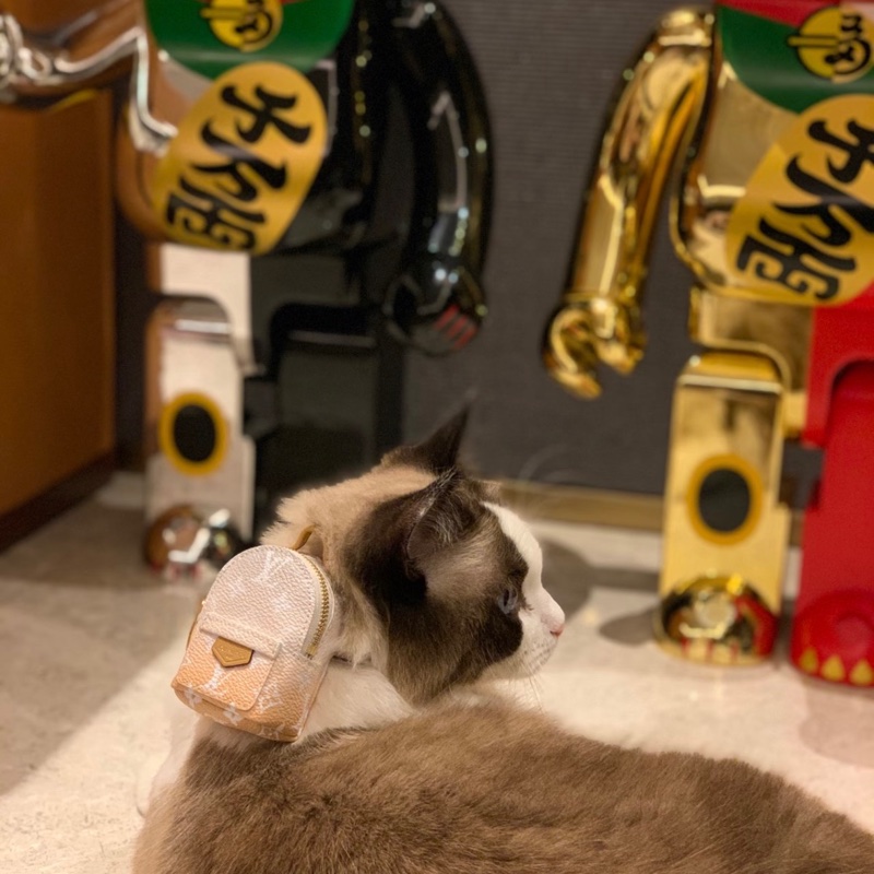 Louis Vuitton 99新 只裝得下可愛 手腕包/吊飾-5