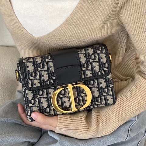 Dior Mini box 老花盒子包