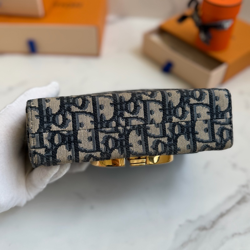 Dior Mini box 老花盒子包-4