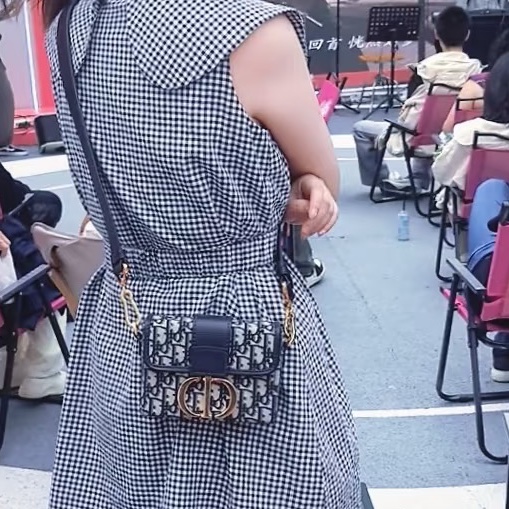 Dior Mini box 老花盒子包-8