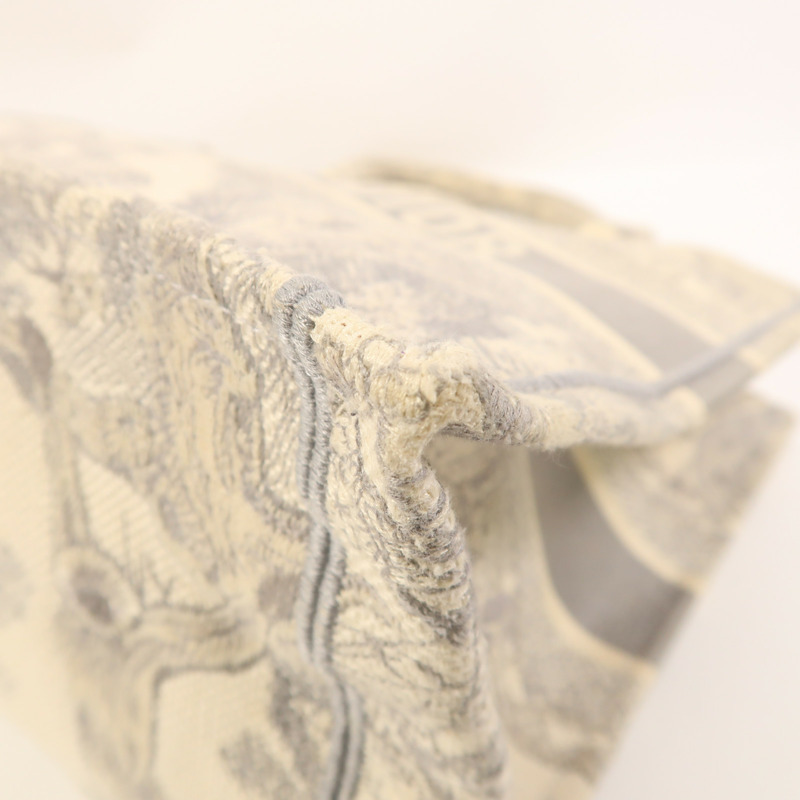 Dior 帆布Book Tote手挽袋-8