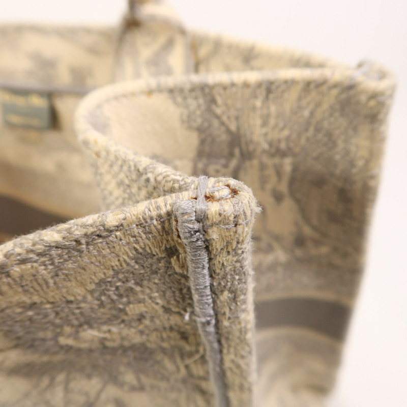 Dior 帆布Book Tote手挽袋-18