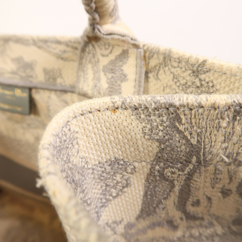 Dior 帆布Book Tote手挽袋-19