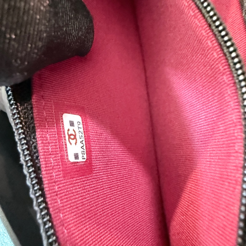 Chanel✨23B黑金19bag woc鏈條包-19