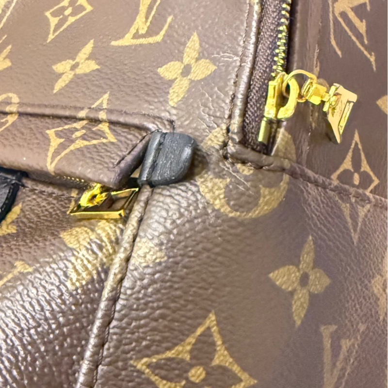 🌟LV mini後背包 Palm Springs Mini-2