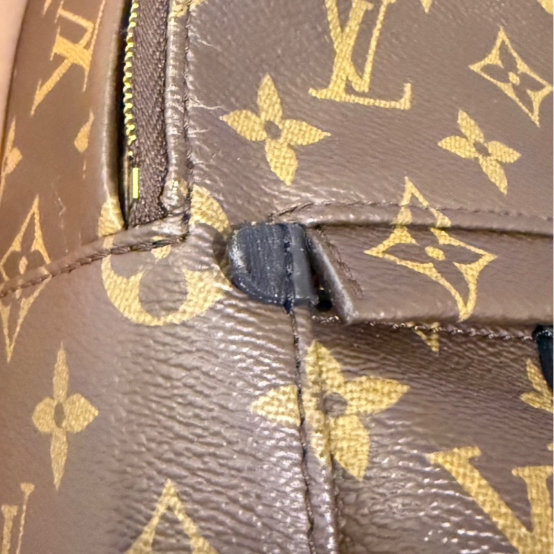 🌟LV mini後背包 Palm Springs Mini-13