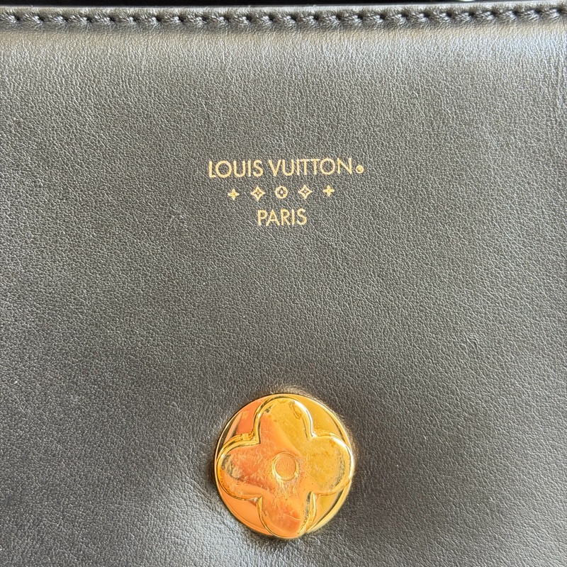 LV Pont 9 小牛皮肩背包 M55948 晶片款-19