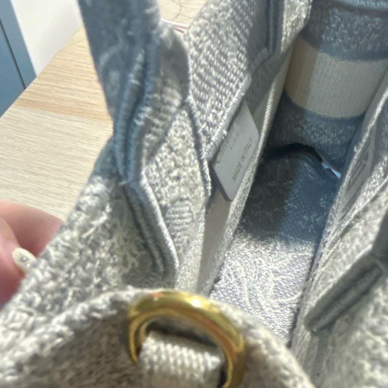 dior mini tote-2
