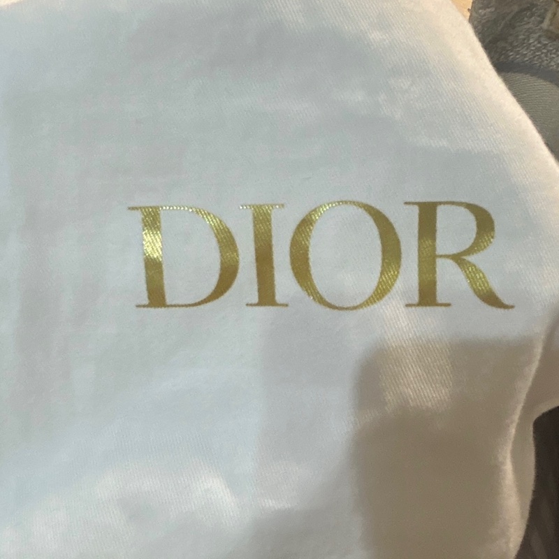 dior mini tote-4