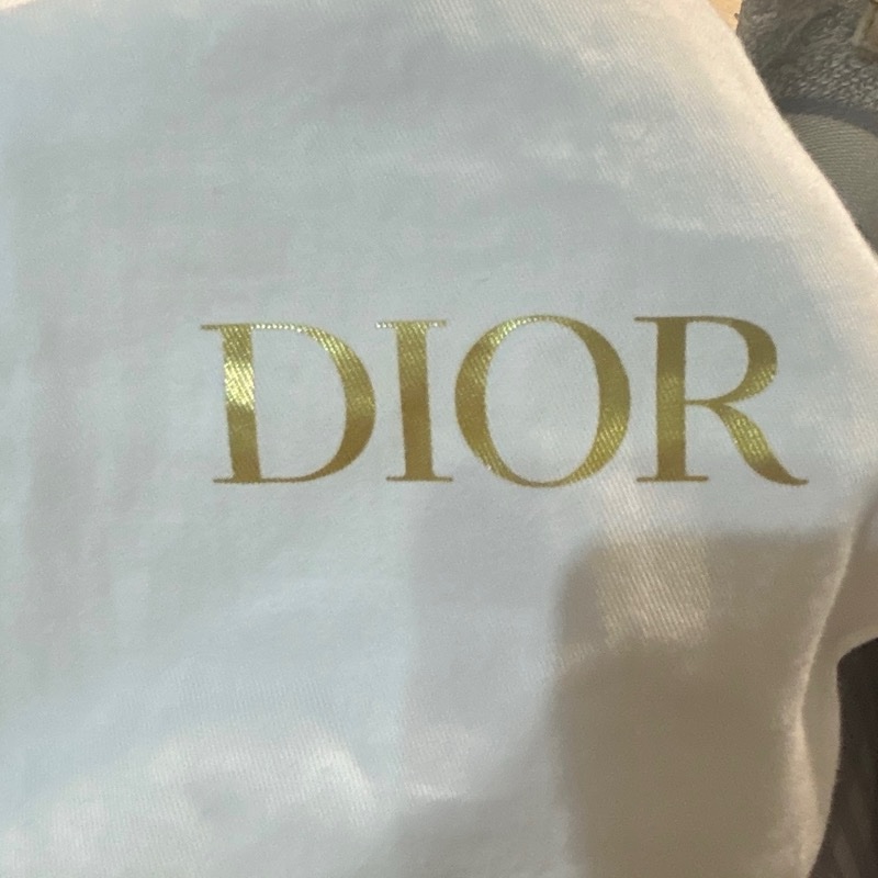 dior mini tote-16