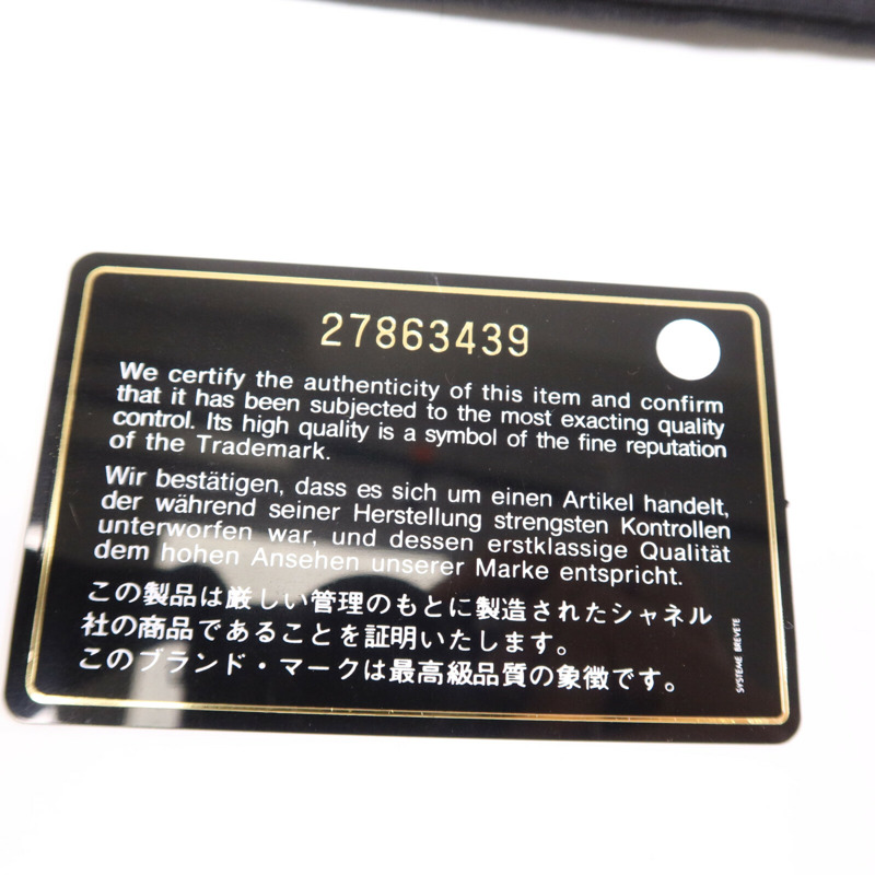 CHANEL 牛皮皮革Camera Bag金扣肩背袋-16