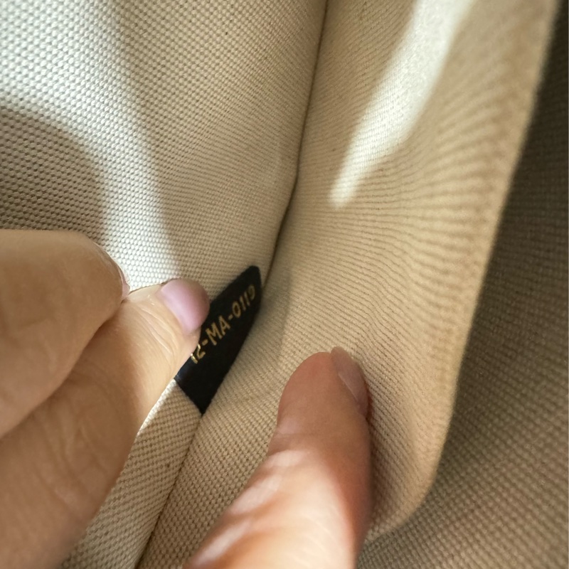 Dior 手拿包 斜背包 相機包-10