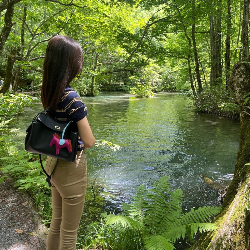 Hermes/愛馬仕Swift皮革 Rodeo MM Charm小馬掛飾(桃紅/水藍/橘)-4