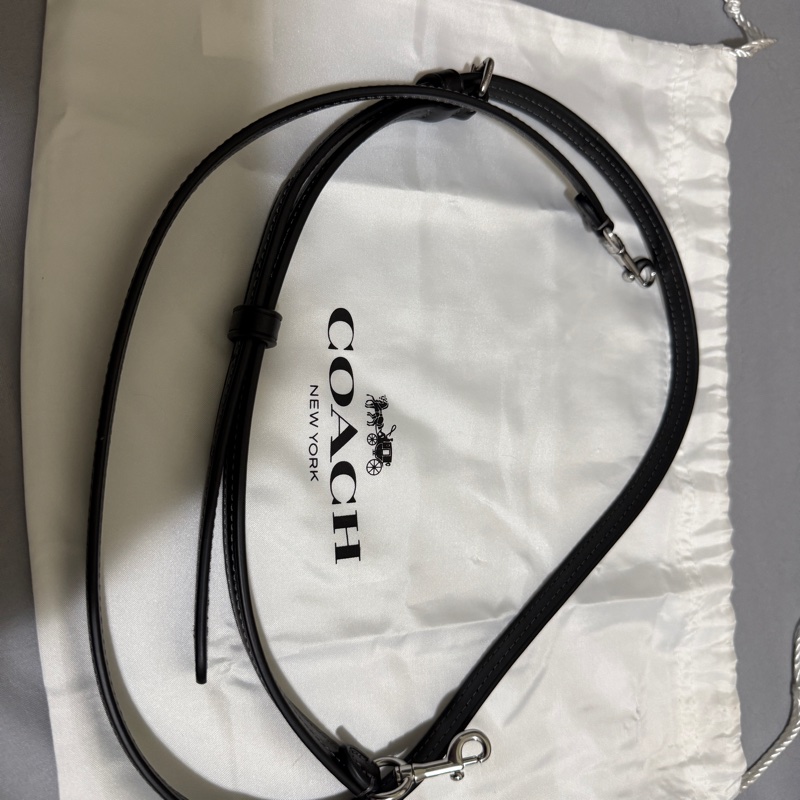 【COACH】ROWEN櫻桃掛件迷你斜背手袋-9