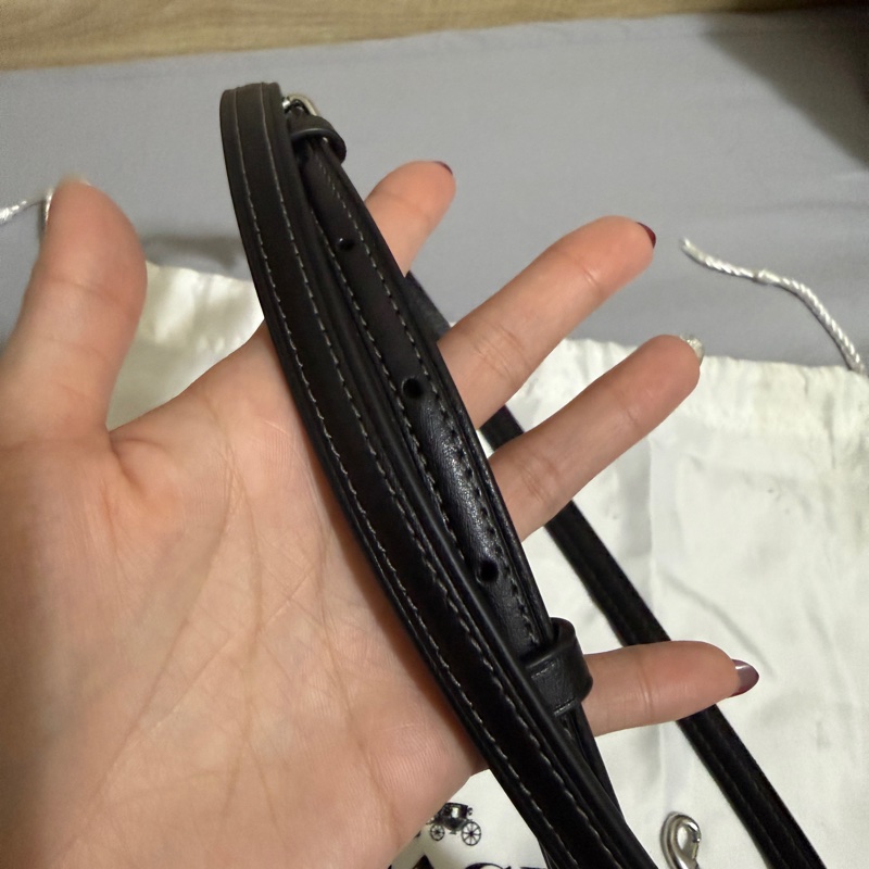 【COACH】ROWEN櫻桃掛件迷你斜背手袋-28