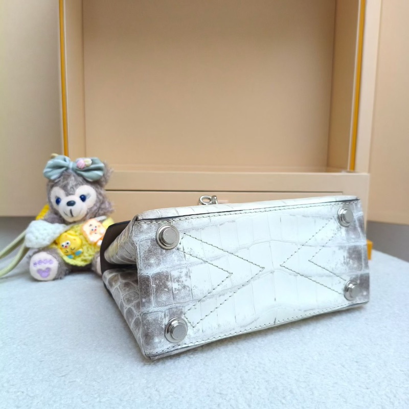 LV 喜馬拉雅 撒哈拉 風中玫瑰 稀有款19x9x15 全新配件塵袋盒子-4