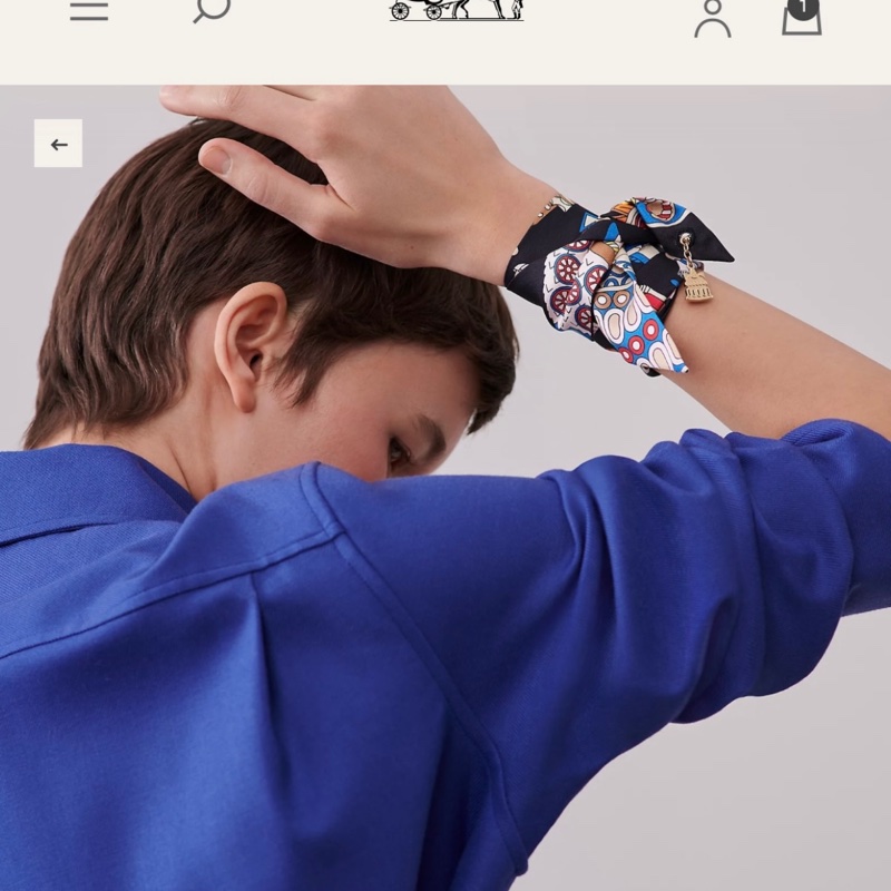 Hermes twilly 絲巾 20週年紀念款-1