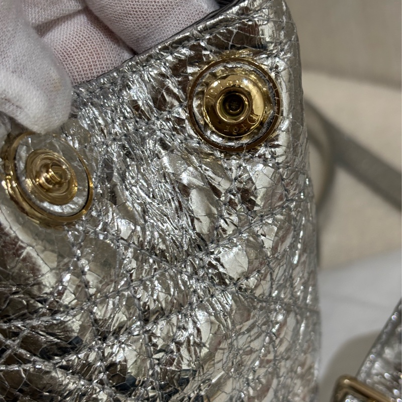 Dior stardust Backpack 雙肩包-10