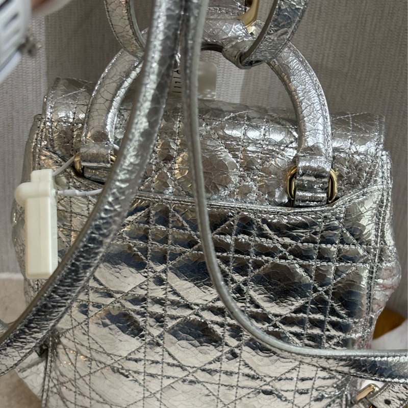 Dior stardust Backpack 雙肩包-15