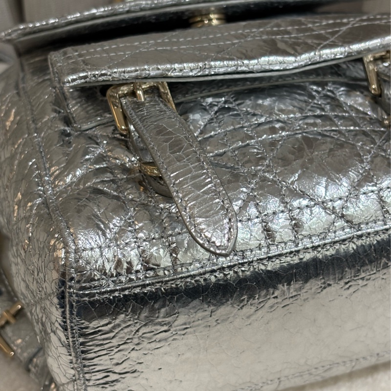 Dior stardust Backpack 雙肩包-18