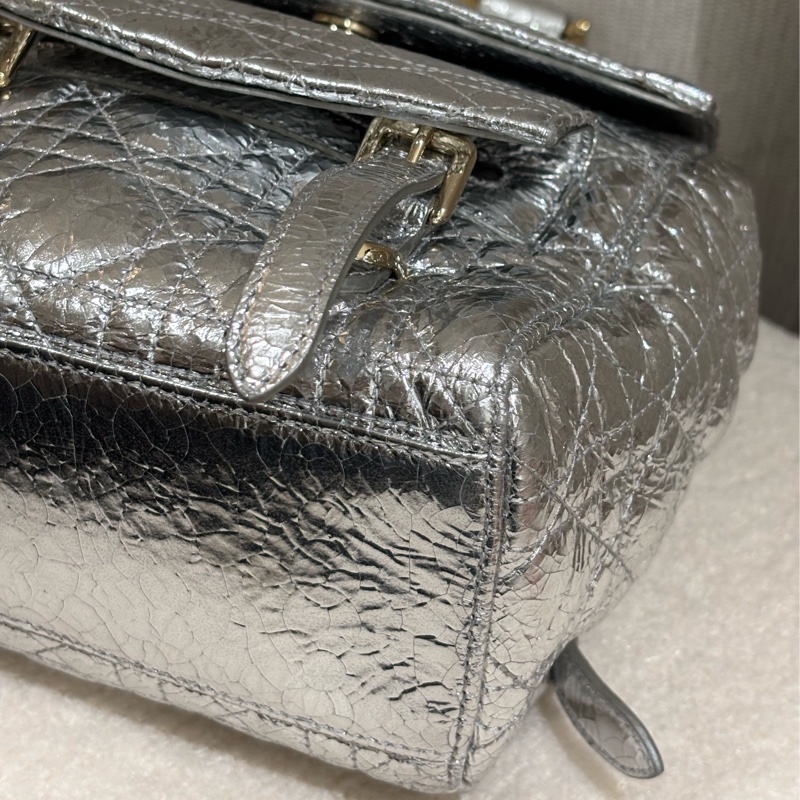 Dior stardust Backpack 雙肩包-19