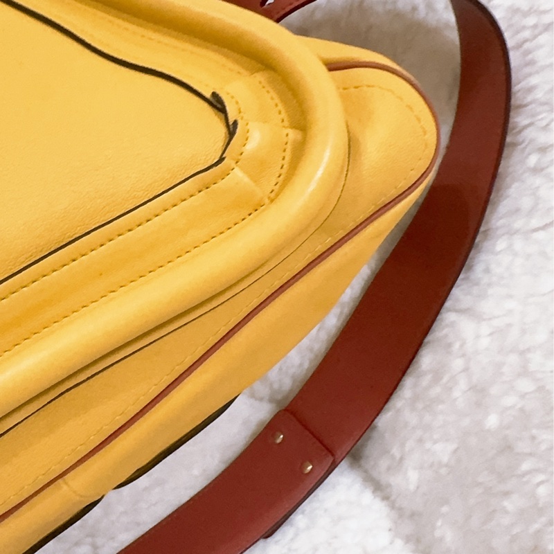 Chloe party (中號)檸檬黃🍋-32