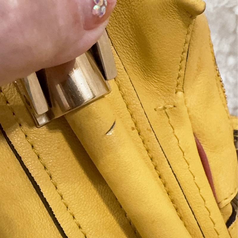 Chloe party (中號)檸檬黃🍋-41