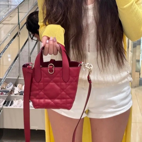 Dior 新款 Toulouse 紅色 牛皮 mini 竪版 18*18cm 98新配件塵袋購證肩帶