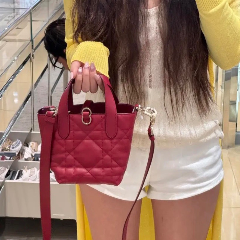Dior 新款 Toulouse 紅色 牛皮 mini 竪版 18*18cm 98新配件塵袋購證肩帶-0